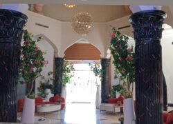 WhatsApp Image 2025-12-12 at 8.06.38 AM